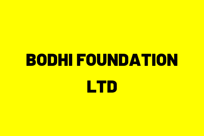 Digital Solutions Provider BODHI FOUNDATION LTD