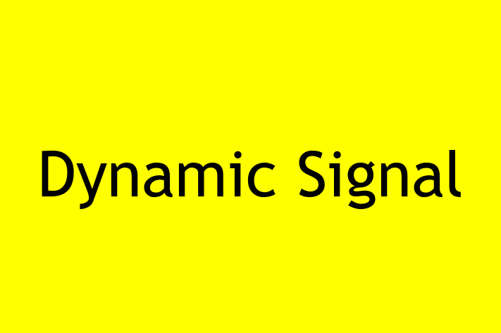 Tech Firm Dynamic Signal