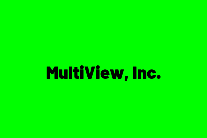 Software Development Company MultiView Inc.