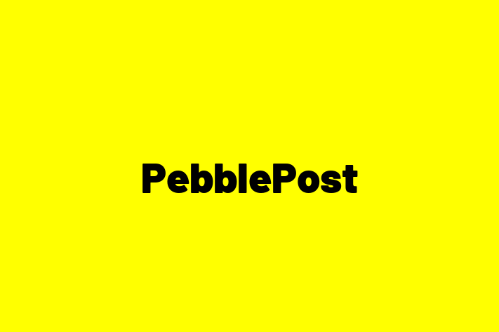 IT Company PebblePost