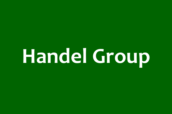 Software Consultancy Handel Group