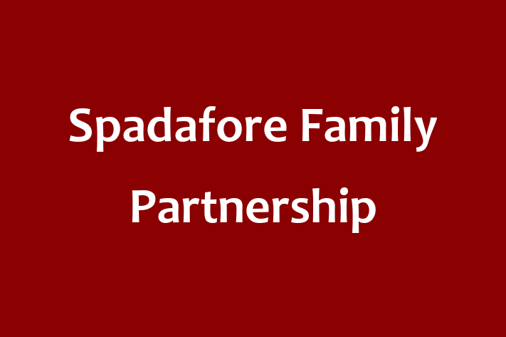 Construction architect Spadafore Family Partnership