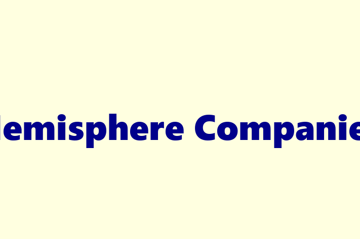 Employee Resource Management Hemisphere Companies