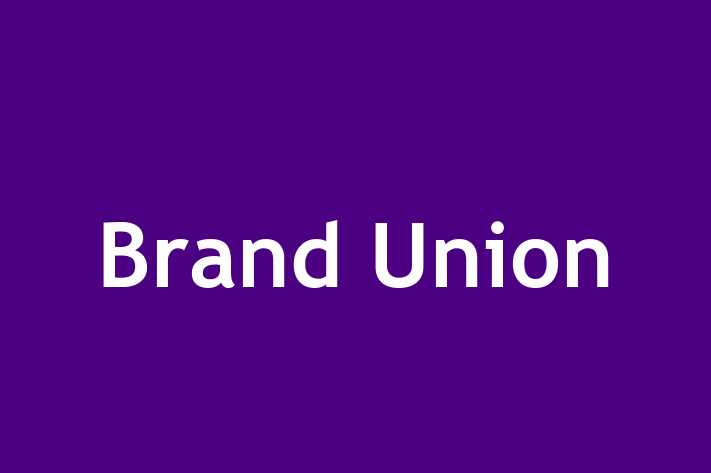 Software House Brand Union