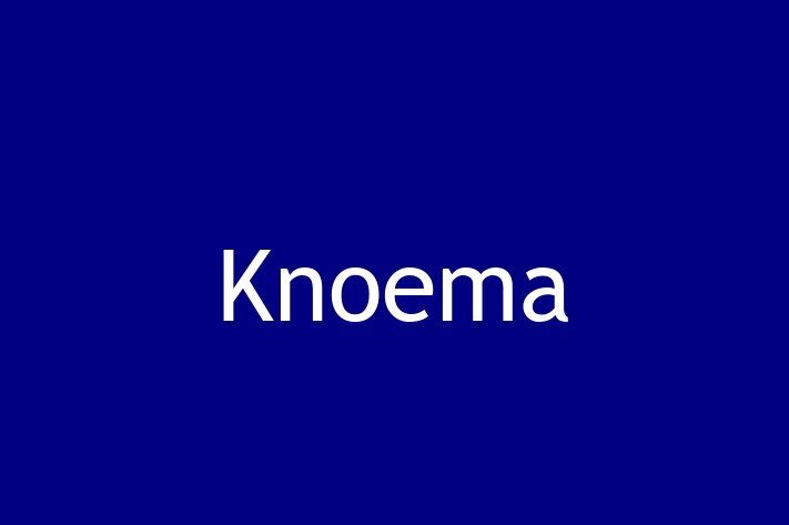 Software House Knoema