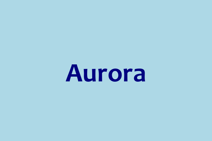 Human Capital Management Aurora