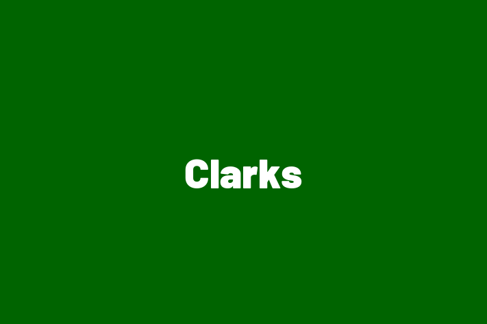 Staff Management Clarks