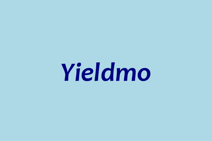 Talent Management Yieldmo