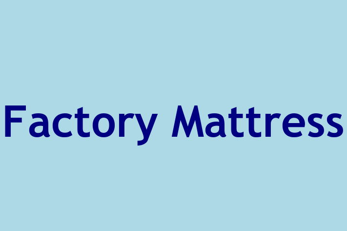 Human Resource Management Factory Mattress