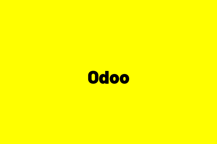 Software Engineering Company Odoo