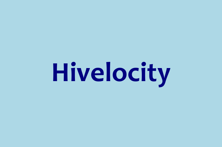 Human Capital Management Hivelocity