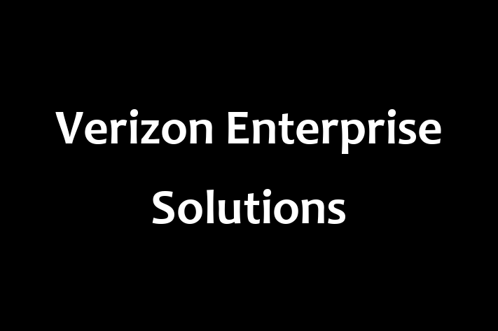 Software Development Firm Verizon Enterprise Solutions