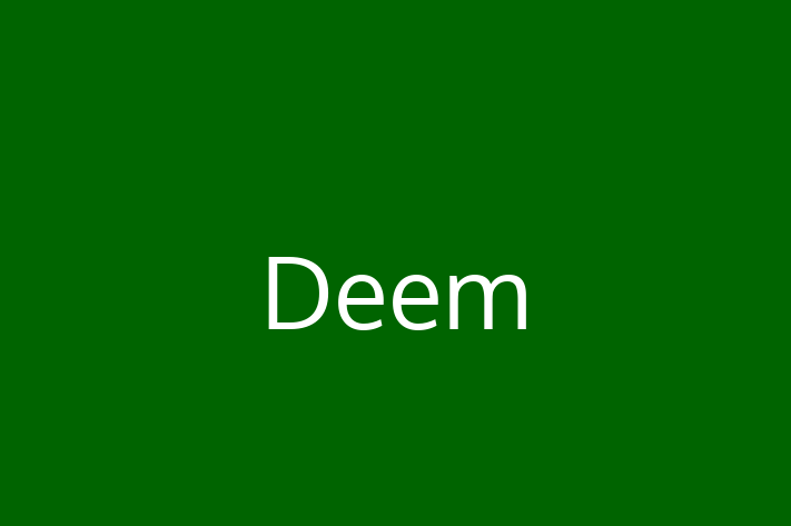 Technology Company Deem