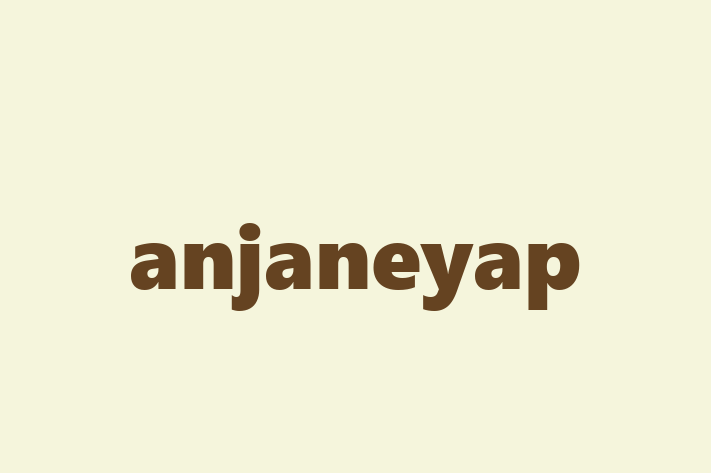 Application Development Company anjaneyap