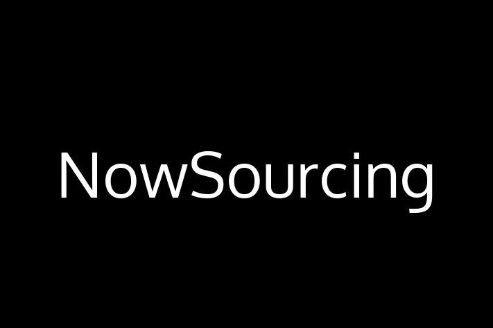 Digital Solutions Provider NowSourcing