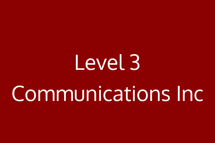 Software Solutions Provider Level 3 Communications Inc