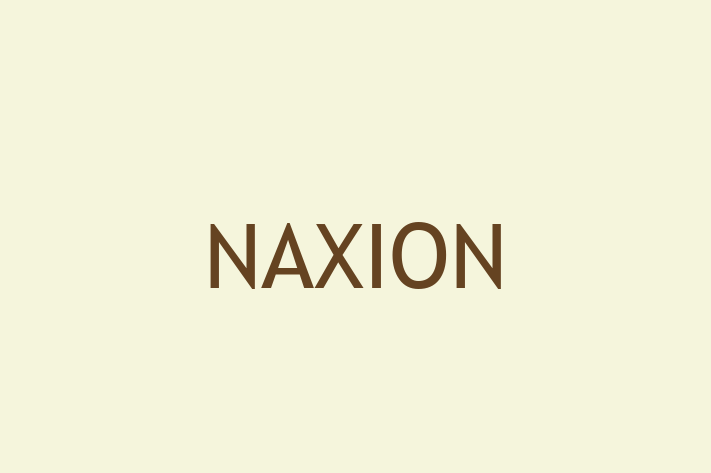 Software Firm NAXION