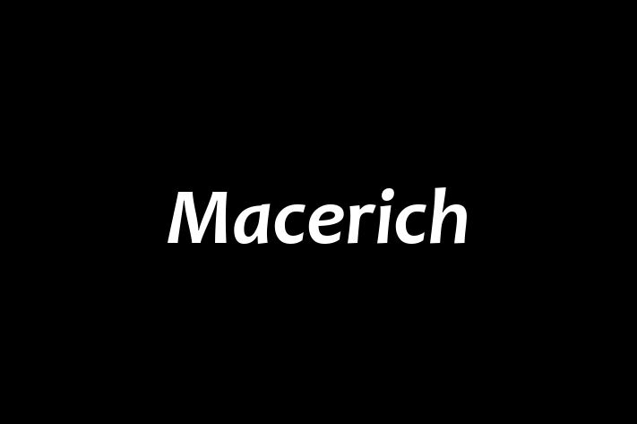 Employee Relations Macerich