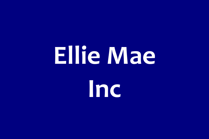 Digital Solutions Provider Ellie Mae Inc