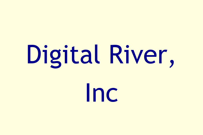 Technology Solutions Firm Digital River Inc