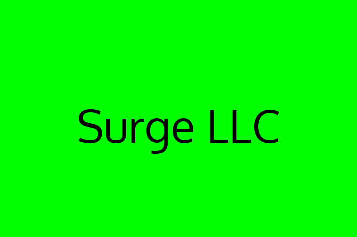 Software Services Company Surge LLC