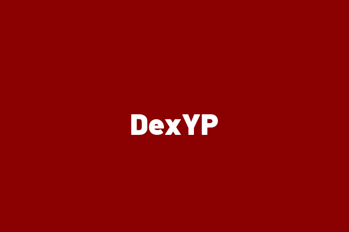 Software Solutions Provider DexYP