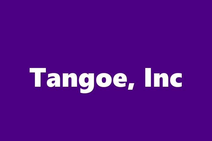 Software Development Firm Tangoe Inc