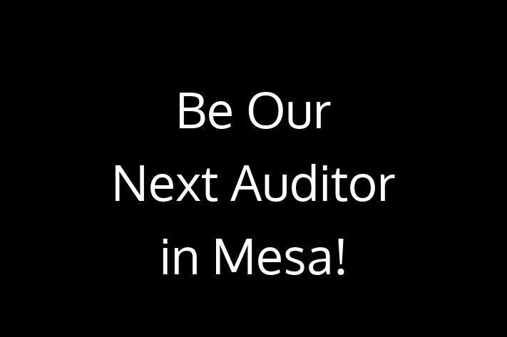 Be Our Next Auditor in Mesa