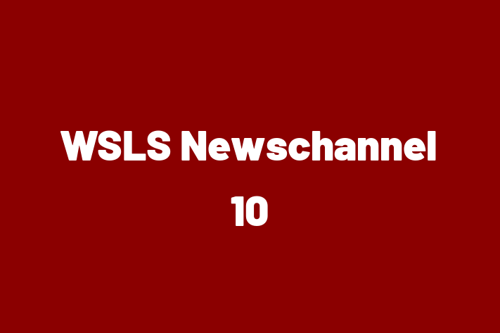 Software Development Firm WSLS Newschannel 10