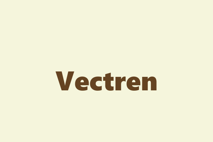 Software Services Company Vectren