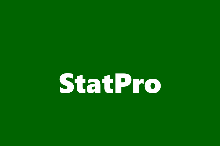 Software Consultancy StatPro