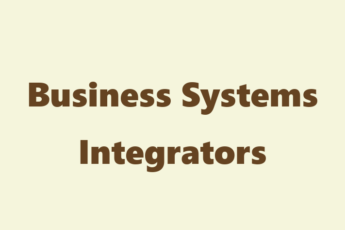 Application Development Company Business Systems Integrators