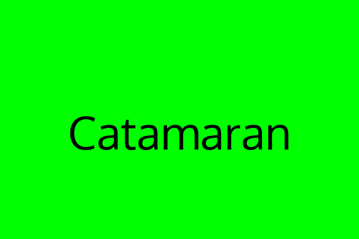 Software House Catamaran