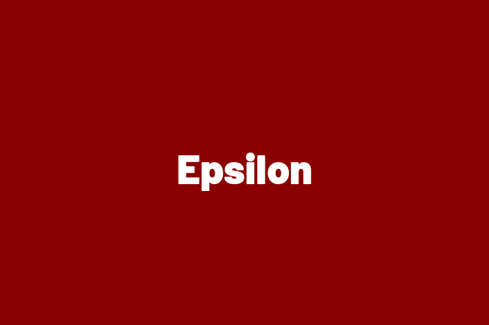 Software Consultancy Epsilon