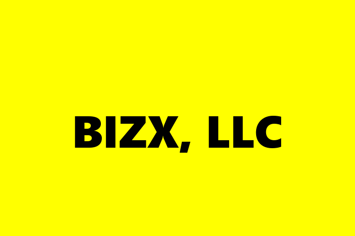 Software Solutions Provider BIZX LLC