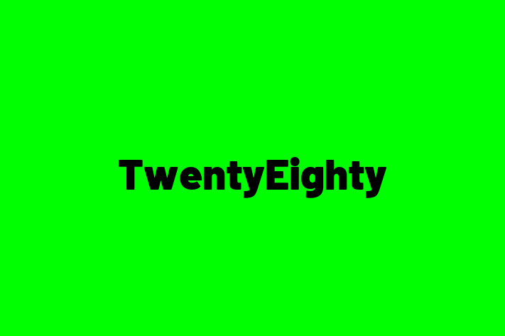 Application Development Company TwentyEighty