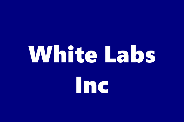 Technology Company White Labs Inc