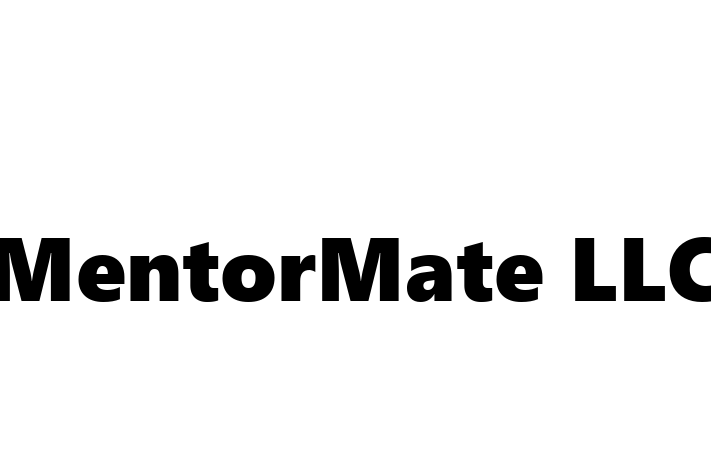 Software Development Company MentorMate LLC