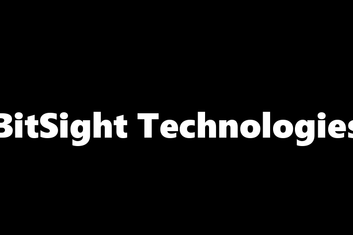 Technology Solutions Firm BitSight Technologies