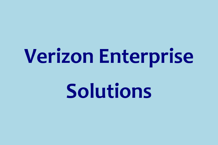 Application Development Company Verizon Enterprise Solutions