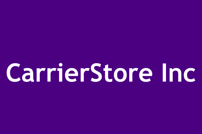 IT Company CarrierStore Inc