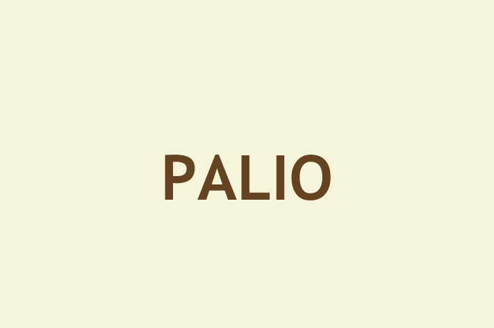 IT Company PALIO