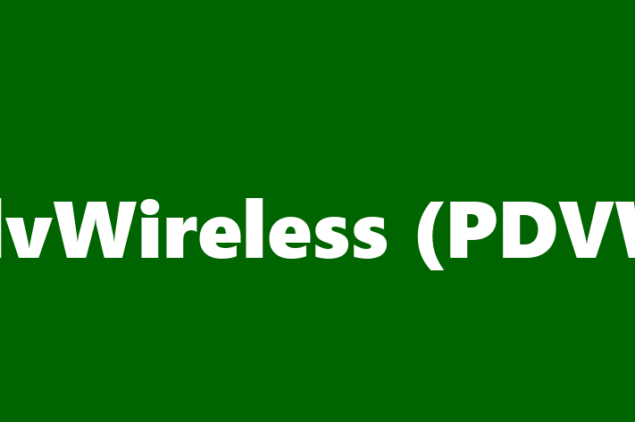 Software Services Company pdvWireless PDVW