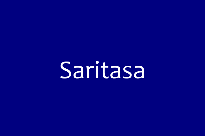 Application Development Company Saritasa