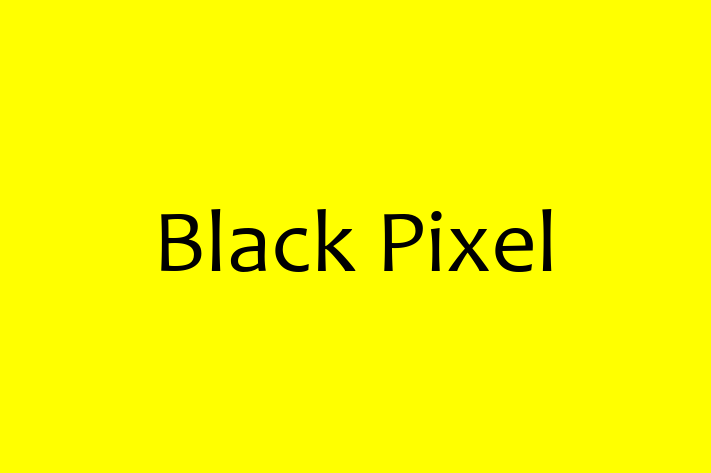 Software Solutions Provider Black Pixel