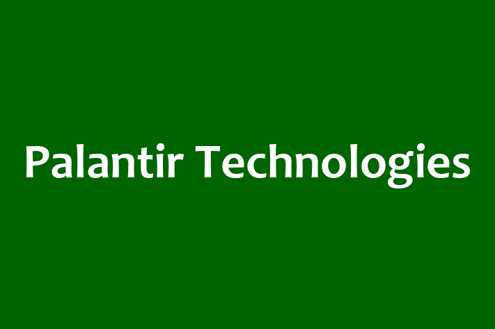 Software Development Firm Palantir Technologies