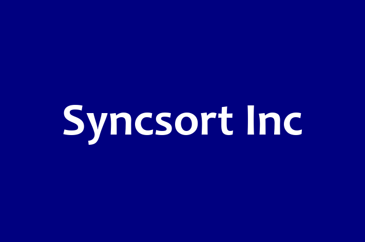 IT Company Syncsort Inc