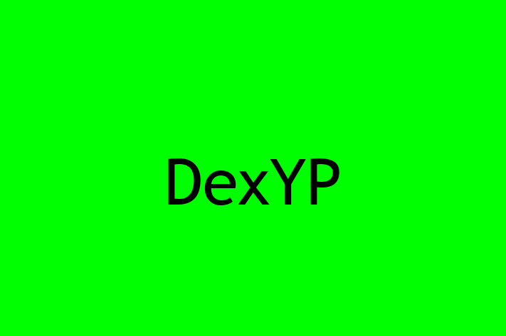 Digital Solutions Provider DexYP