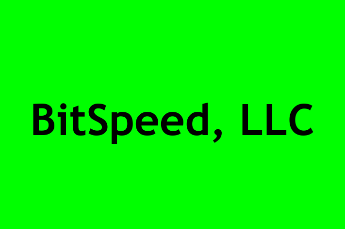 IT Company BitSpeed LLC