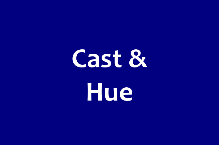 Software Engineering Company Cast Hue